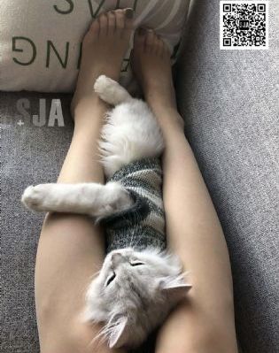 临时男友